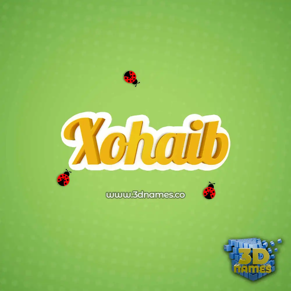 xohaib in Ladybugs style - 3D name wallpaper