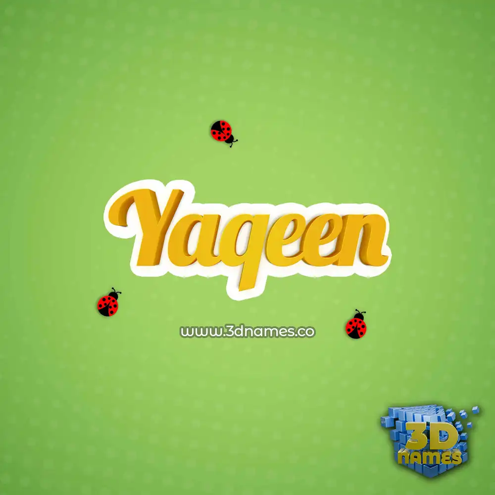 yaqeen in Ladybugs style - 3D name wallpaper