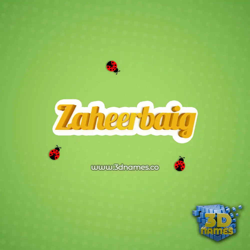 zaheerbaig in Ladybugs style - 3D name wallpaper