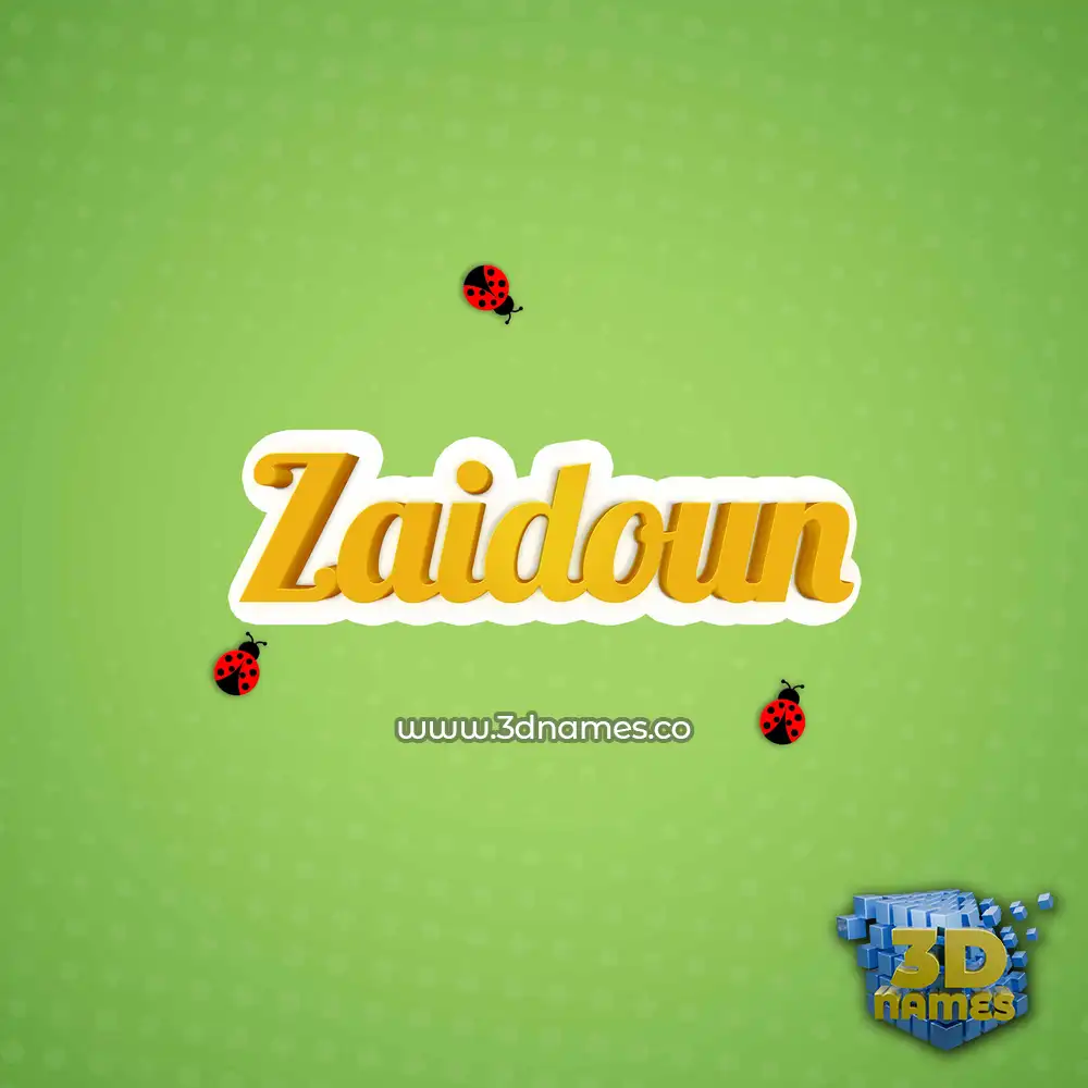 zaidoun in Ladybugs style - 3D name wallpaper