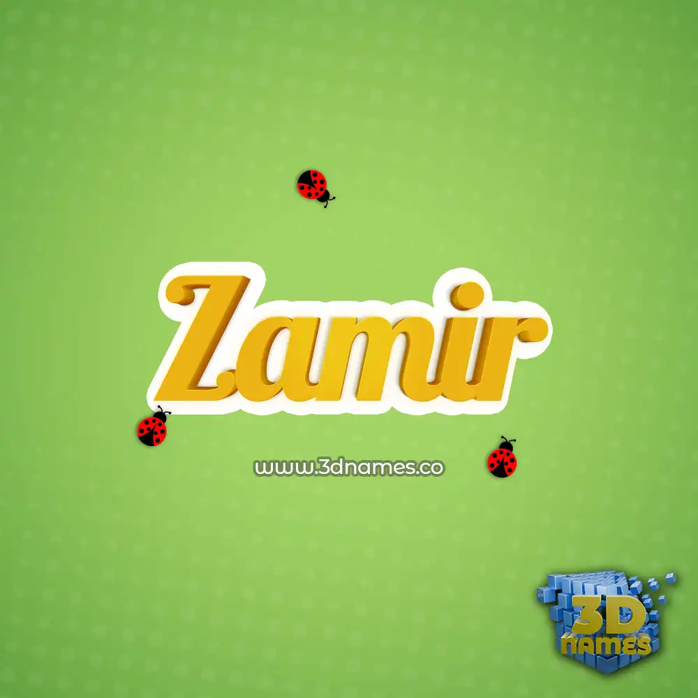 zamir in Ladybugs style - 3D name wallpaper