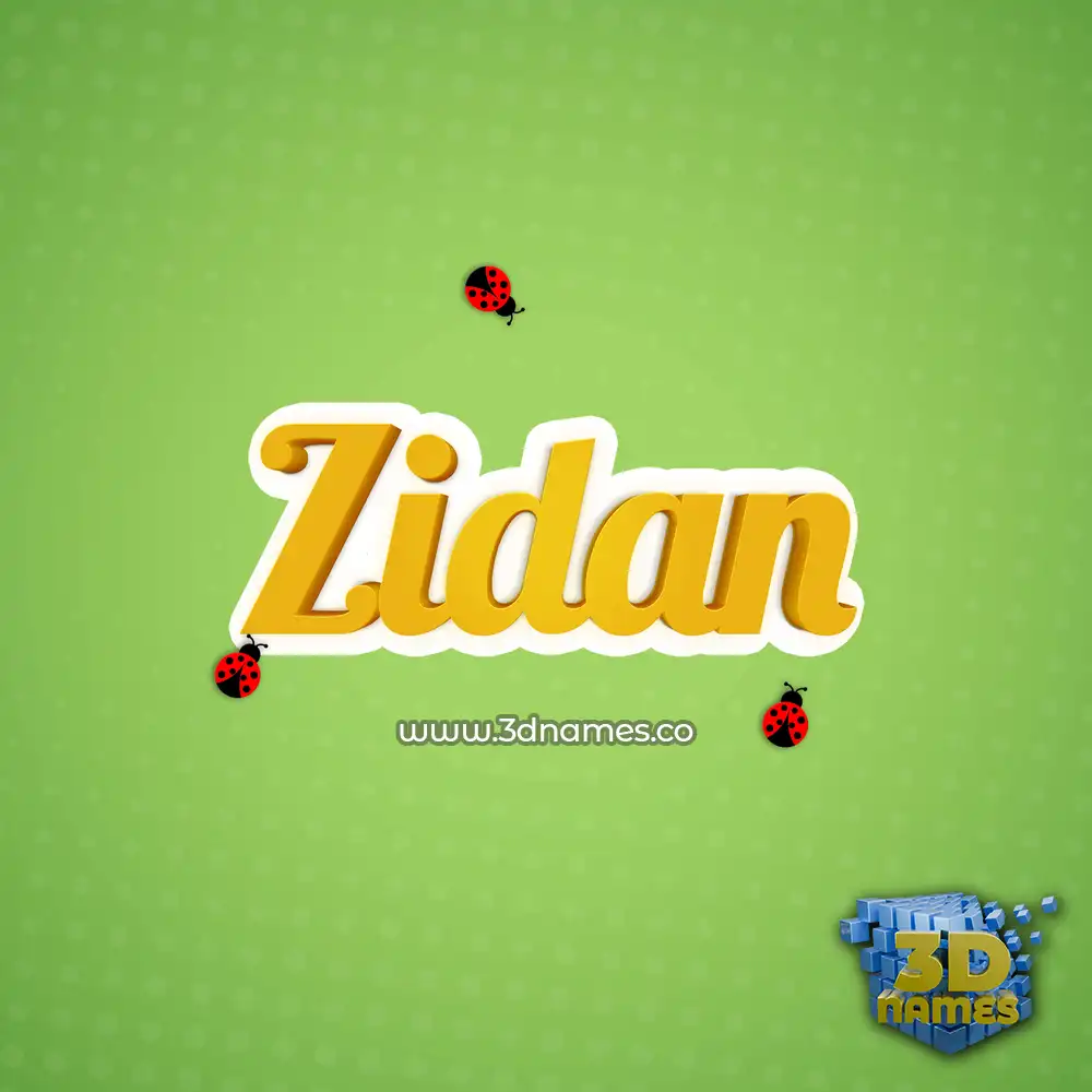 zidan in Ladybugs style - 3D name wallpaper