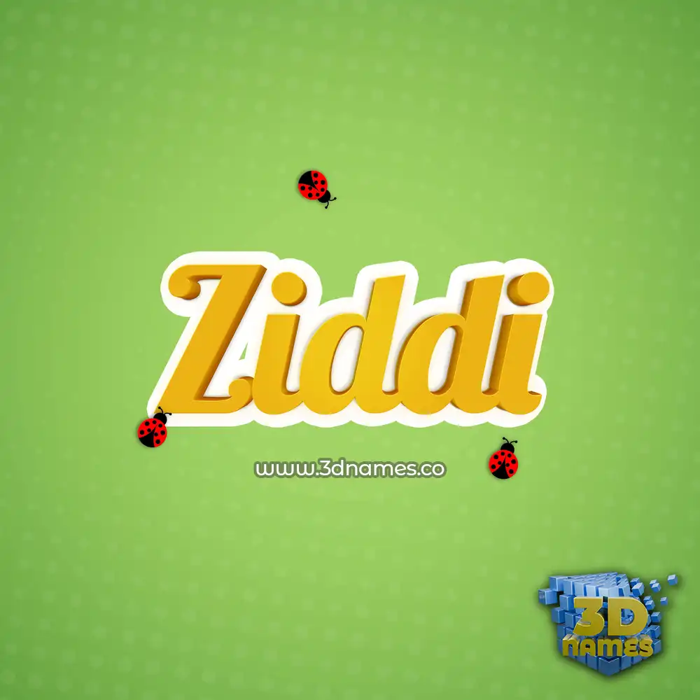 ziddi in Ladybugs style - 3D name wallpaper