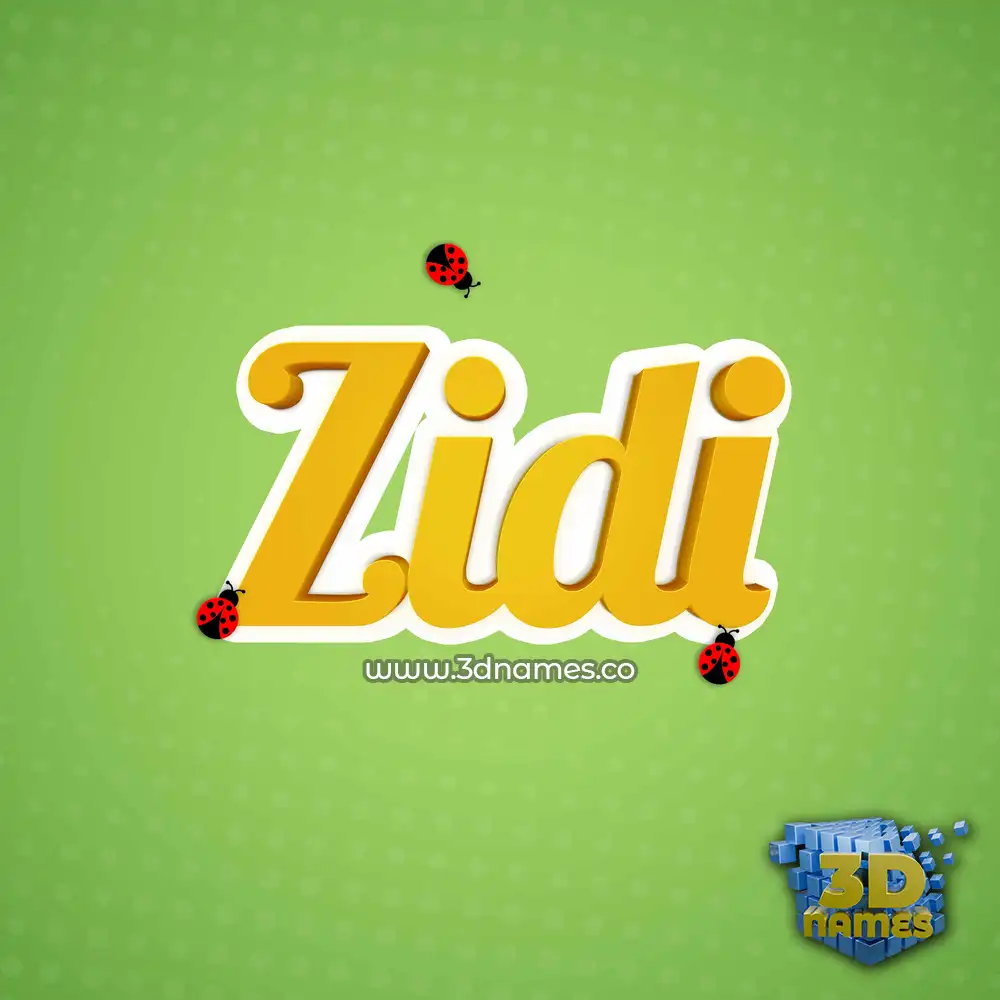 zidi in Ladybugs style - 3D name wallpaper