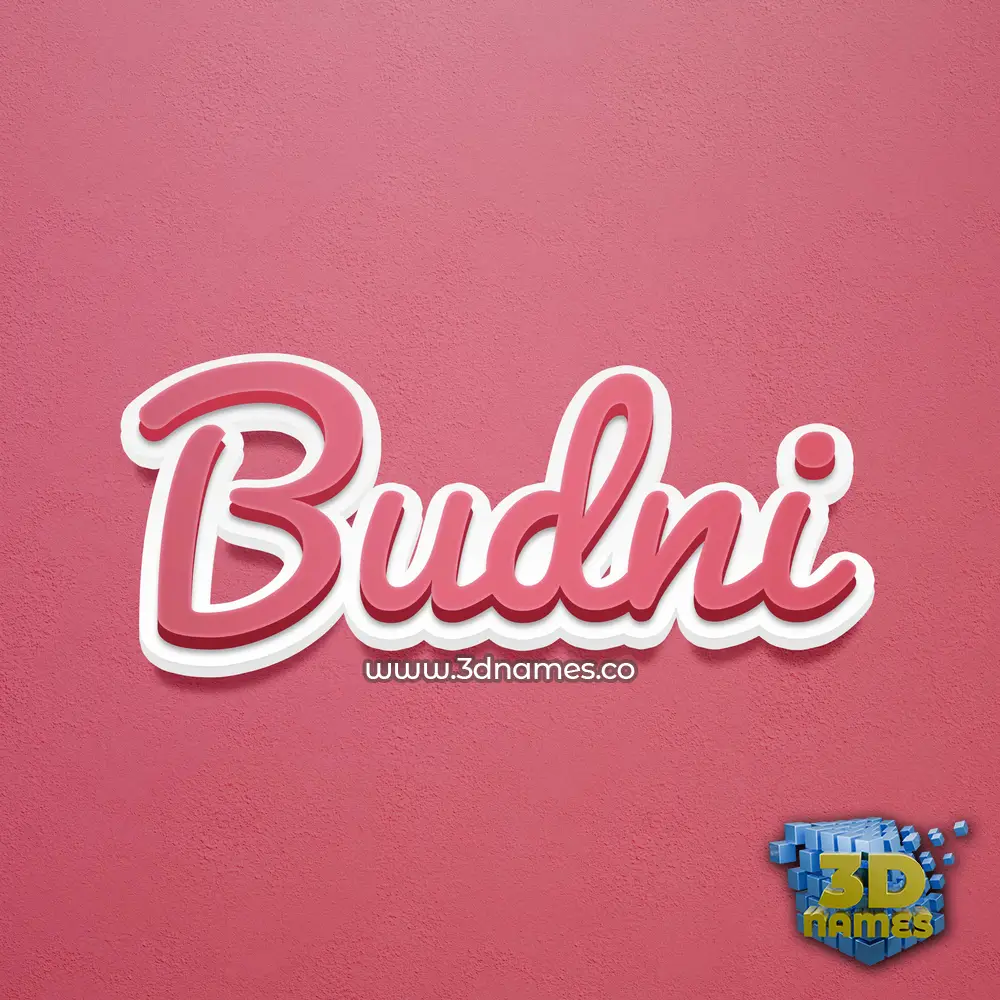 budni in Red Scribble style - 3D name wallpaper