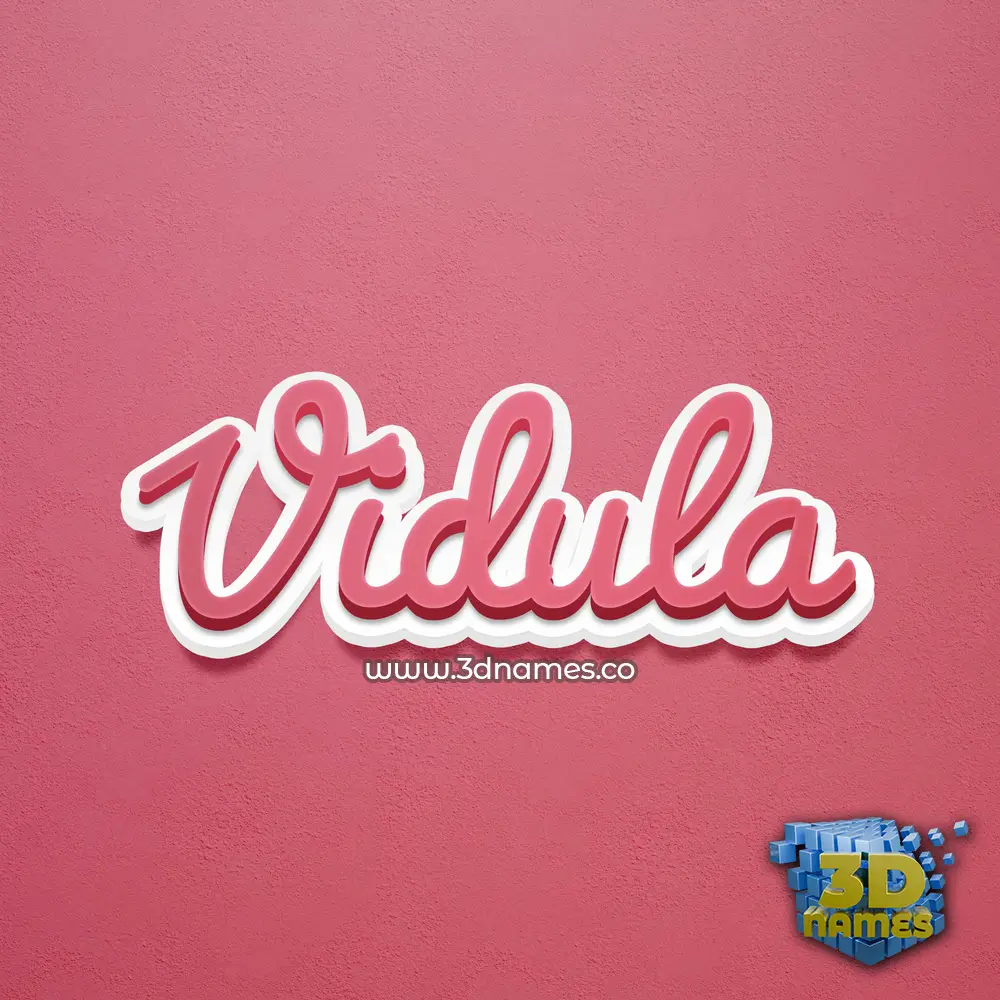 vidula in Red Scribble style - 3D name wallpaper
