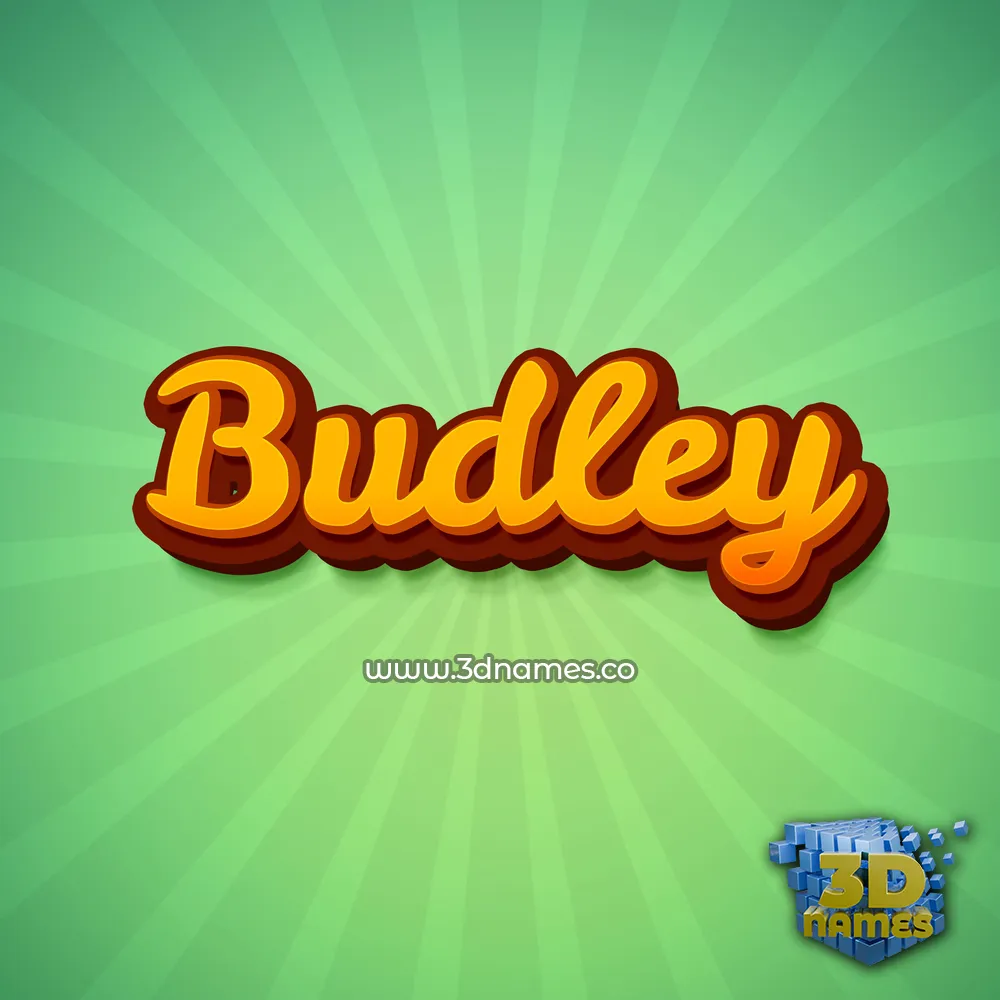 budley in Green Rays style - 3D name wallpaper