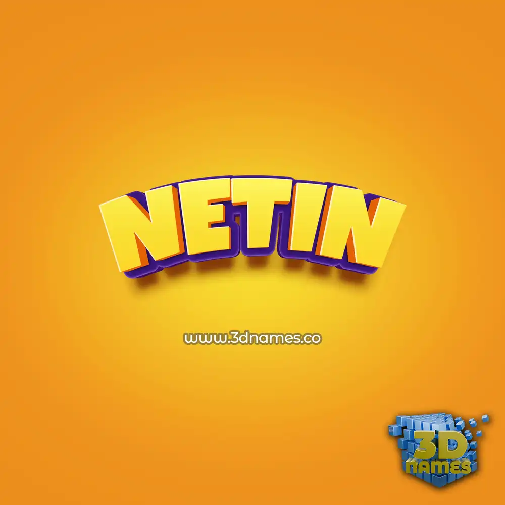netin in Orange Toon style - 3D name wallpaper