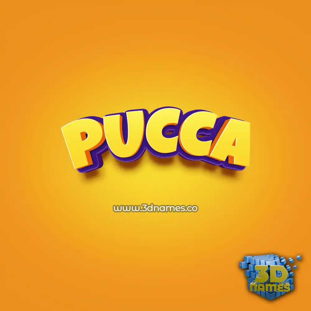 pucca in Orange Toon style - 3D name wallpaper