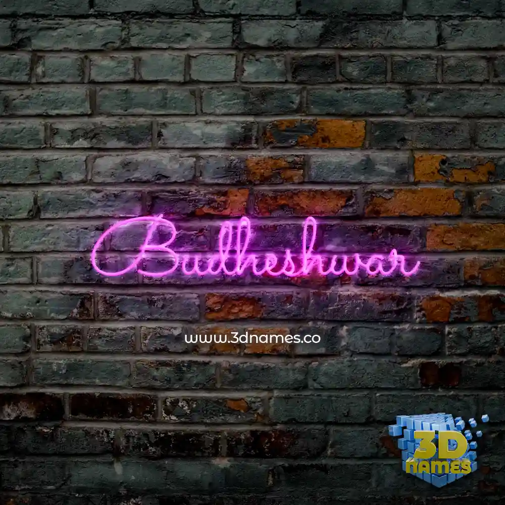 budheshwar in Pink Neon style - 3D name wallpaper
