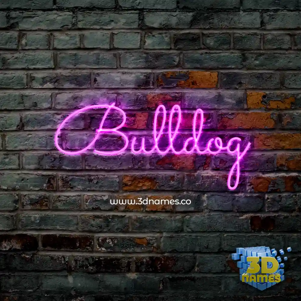 bulldog in Pink Neon style - 3D name wallpaper