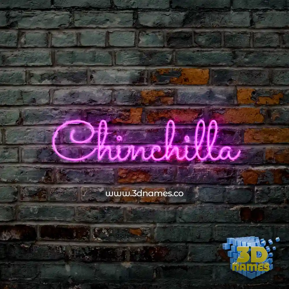 chinchilla in Pink Neon style - 3D name wallpaper