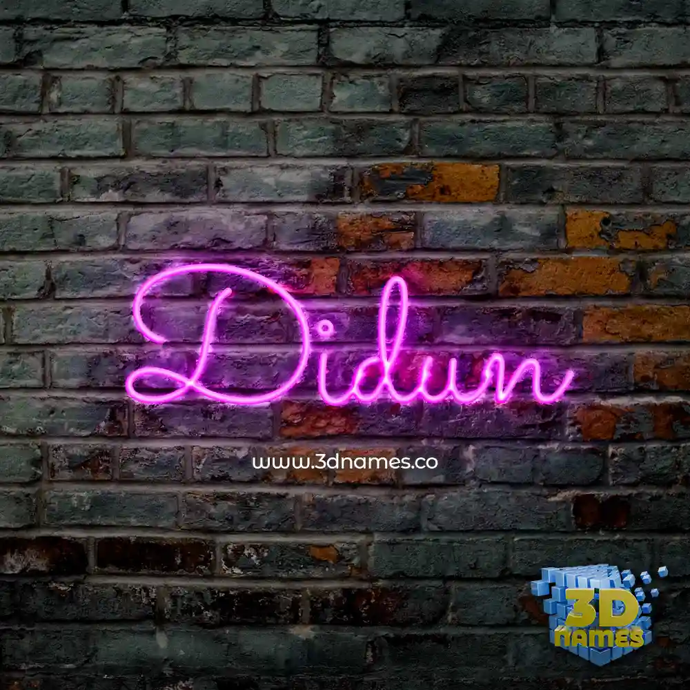 didun in Pink Neon style - 3D name wallpaper