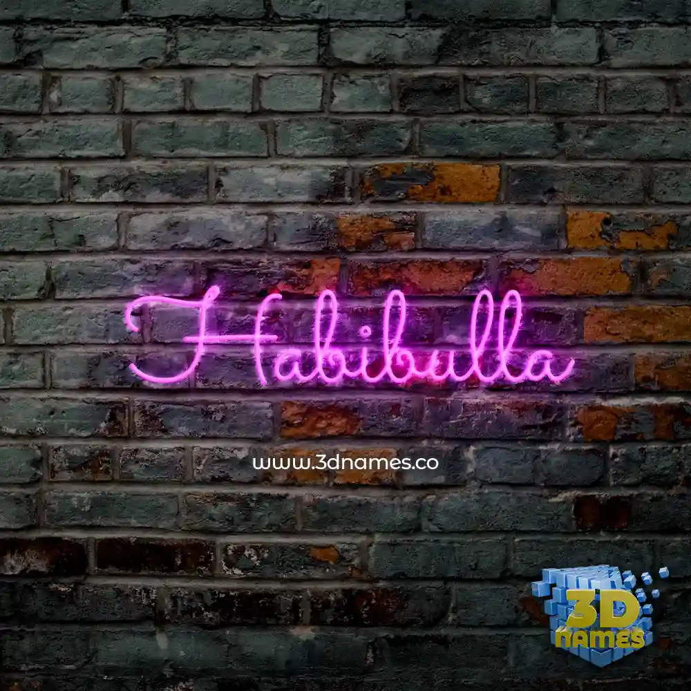 habibulla in Pink Neon style - 3D name wallpaper