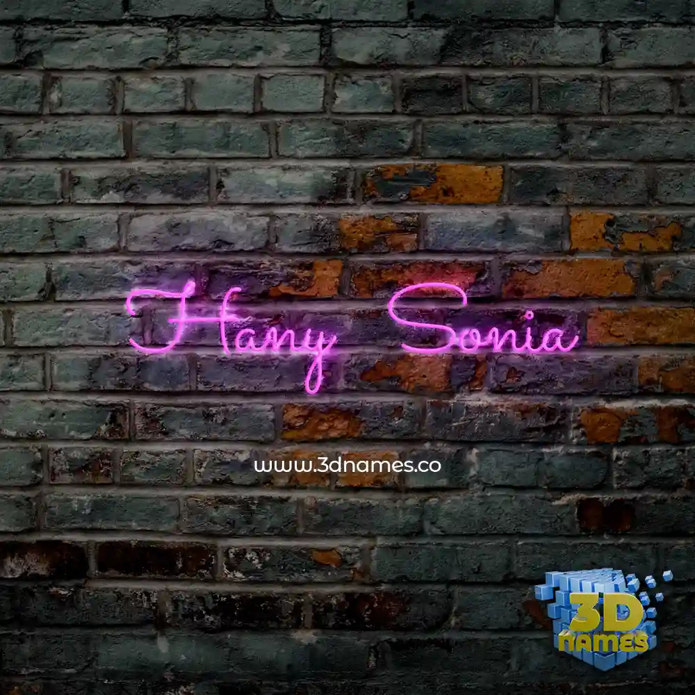 hany   sonia in Pink Neon style - 3D name wallpaper