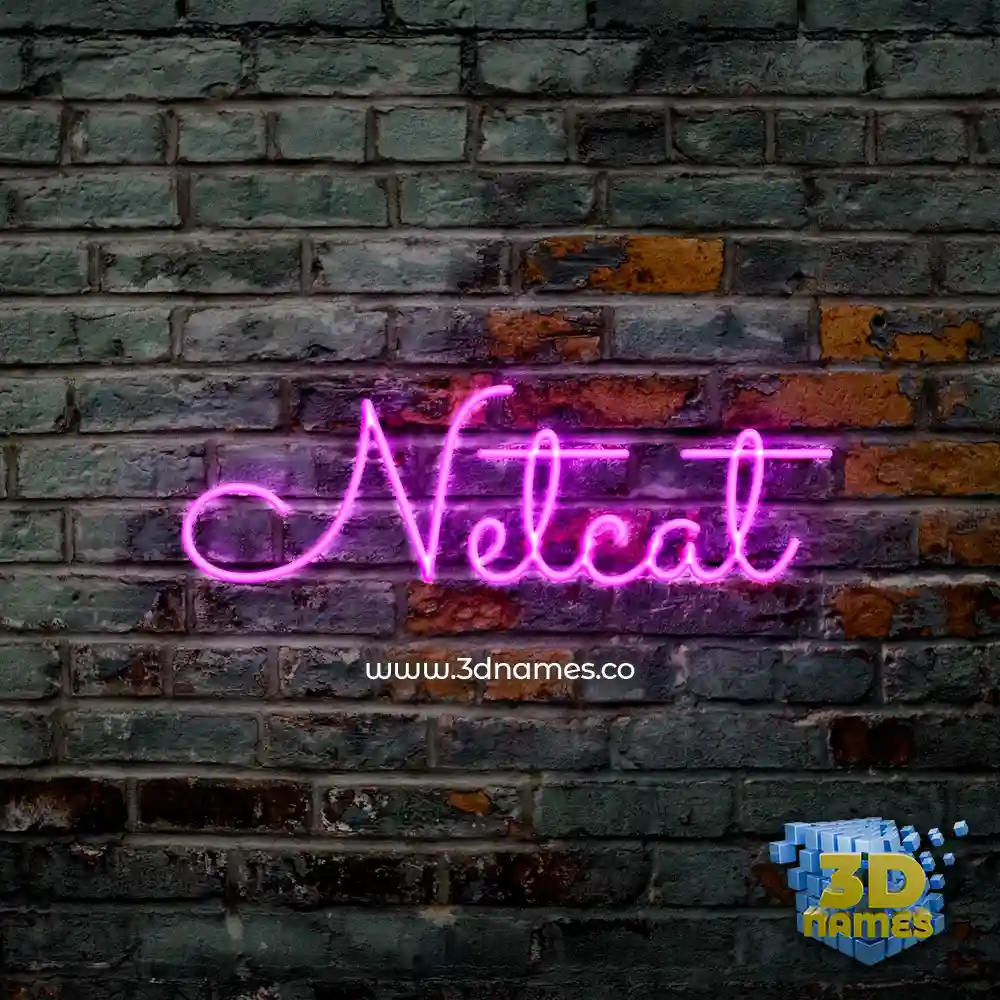 netcat in Pink Neon style - 3D name wallpaper
