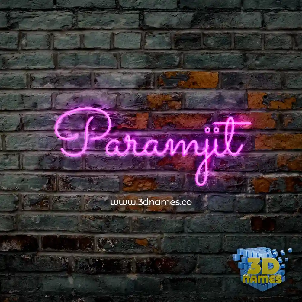 paramjit in Pink Neon style - 3D name wallpaper