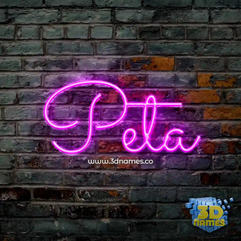 peta in Pink Neon style - 3D name wallpaper