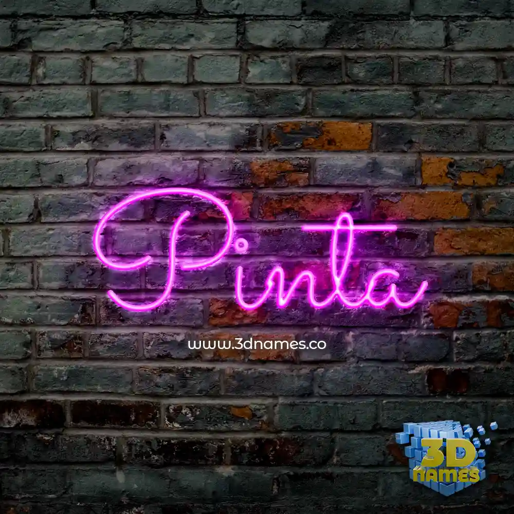 pinta in Pink Neon style - 3D name wallpaper