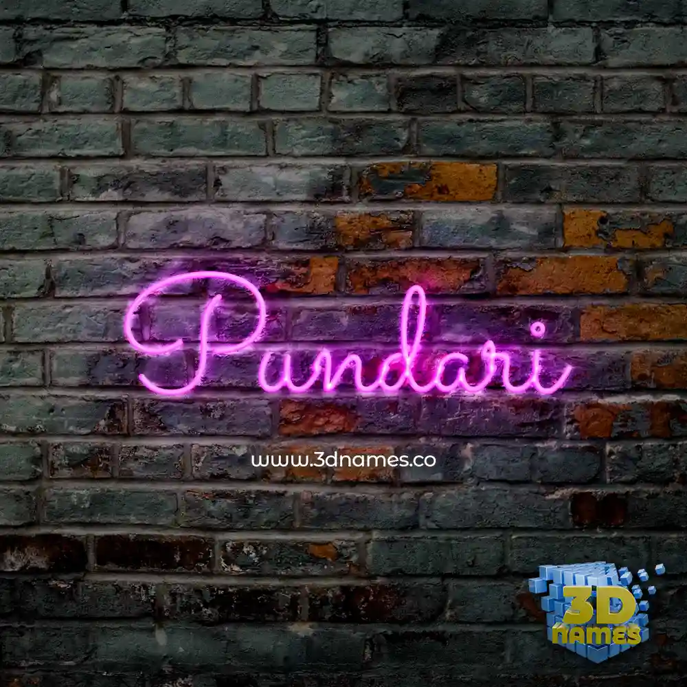 pundari in Pink Neon style - 3D name wallpaper