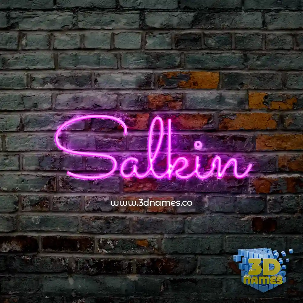 salkin in Pink Neon style - 3D name wallpaper