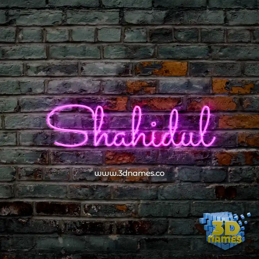 shahidul in Pink Neon style - 3D name wallpaper