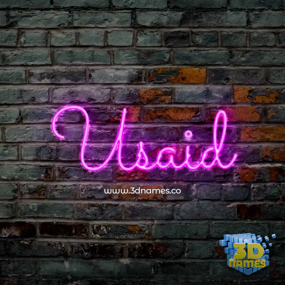 usaid in Pink Neon style - 3D name wallpaper