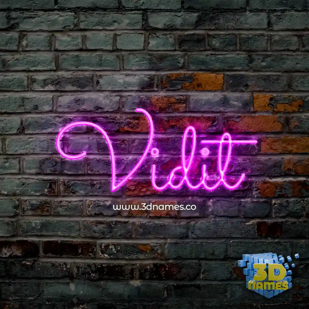 vidit in Pink Neon style - 3D name wallpaper
