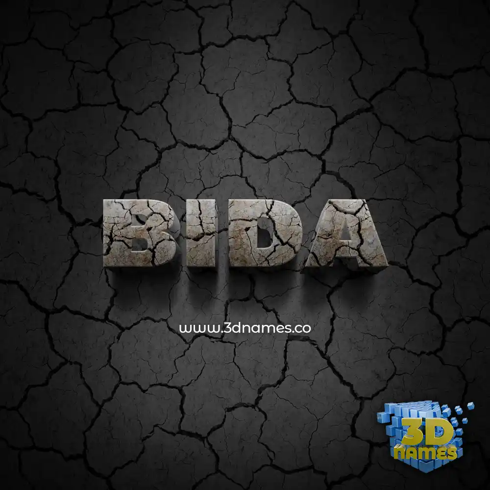 bida in Cracked Stone style - 3D name wallpaper