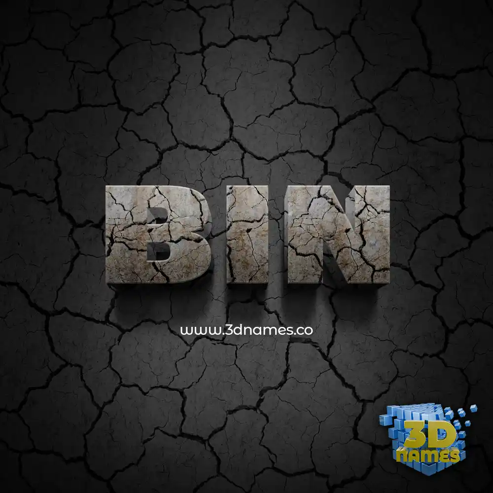 bin in Cracked Stone style - 3D name wallpaper