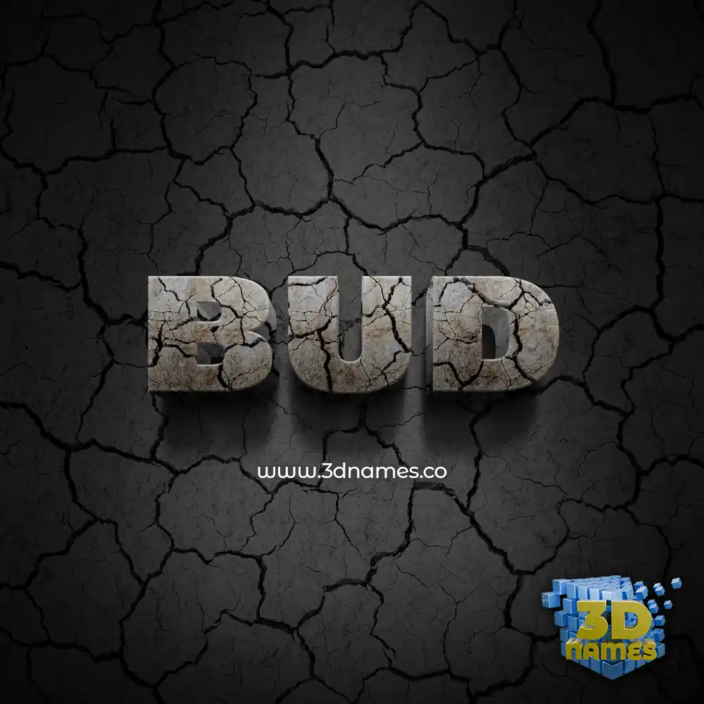 bud in Cracked Stone style - 3D name wallpaper
