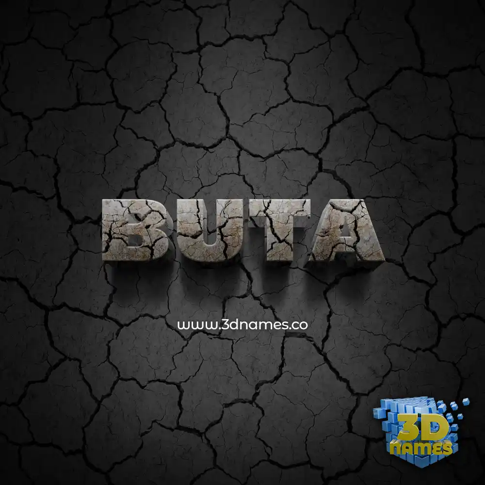 buta in Cracked Stone style - 3D name wallpaper