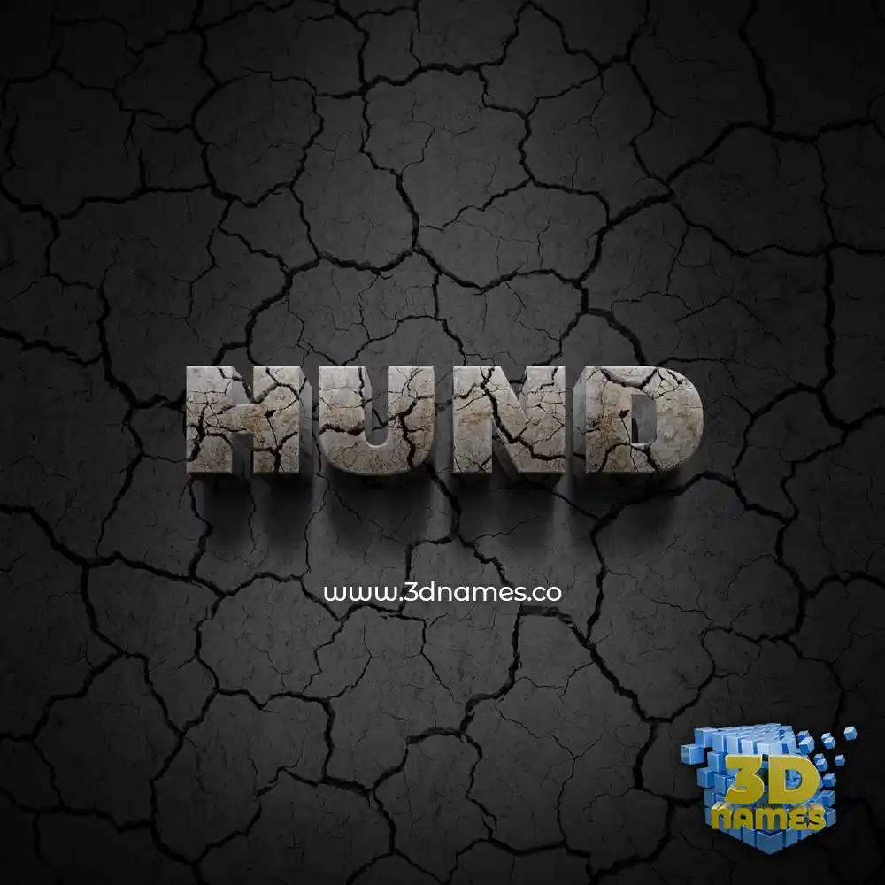 hund in Cracked Stone style - 3D name wallpaper