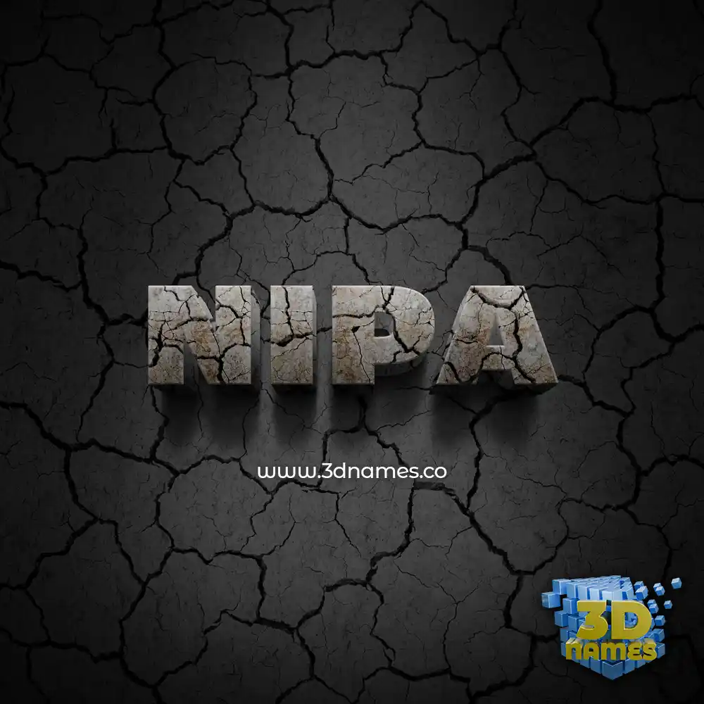 nipa in Cracked Stone style - 3D name wallpaper