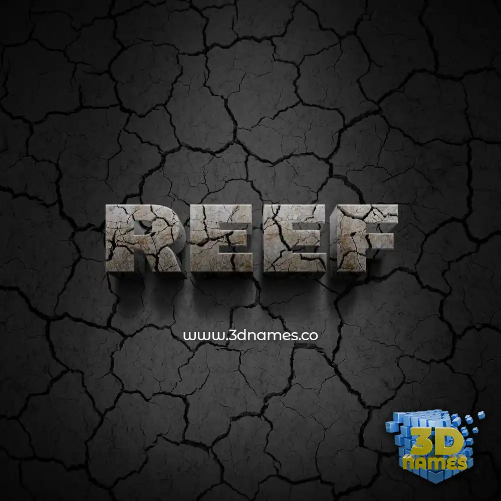 reef in Cracked Stone style - 3D name wallpaper