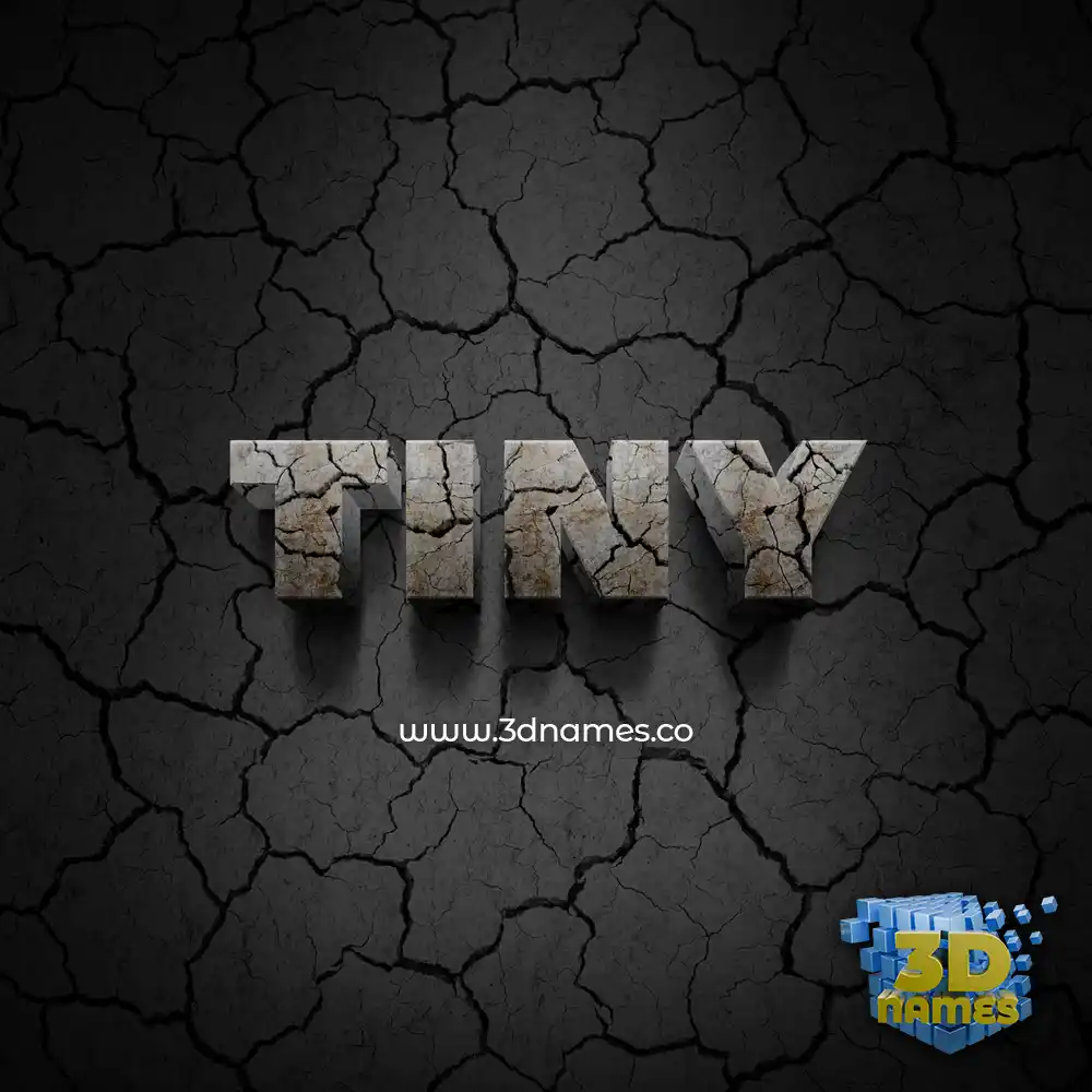 tiny in Cracked Stone style - 3D name wallpaper