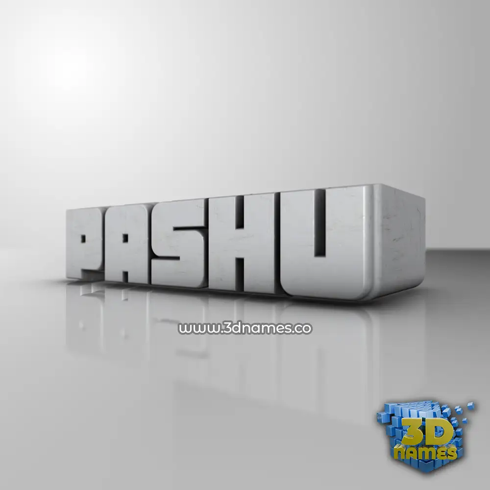 pashu in White Metro style - 3D name wallpaper