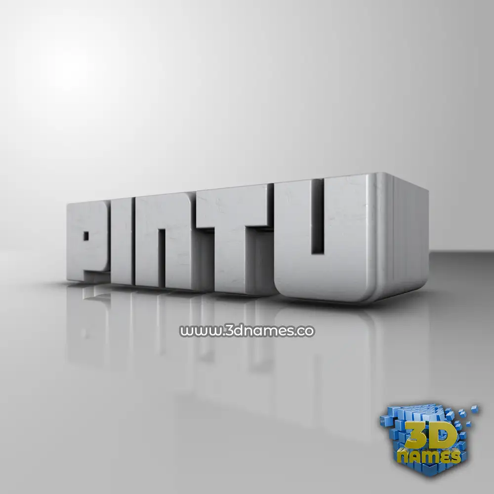 pintu in White Metro style - 3D name wallpaper