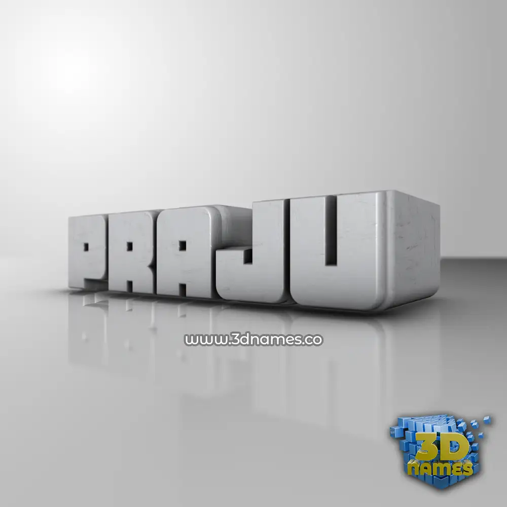 praju in White Metro style - 3D name wallpaper