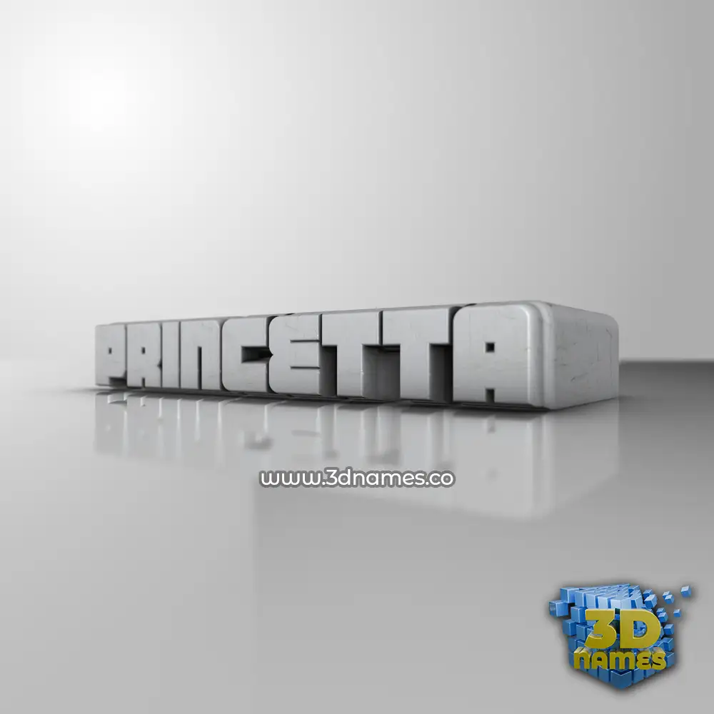 princetta in White Metro style - 3D name wallpaper