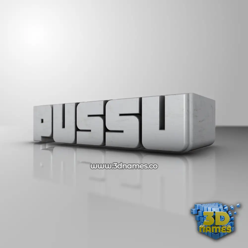 pussu in White Metro style - 3D name wallpaper