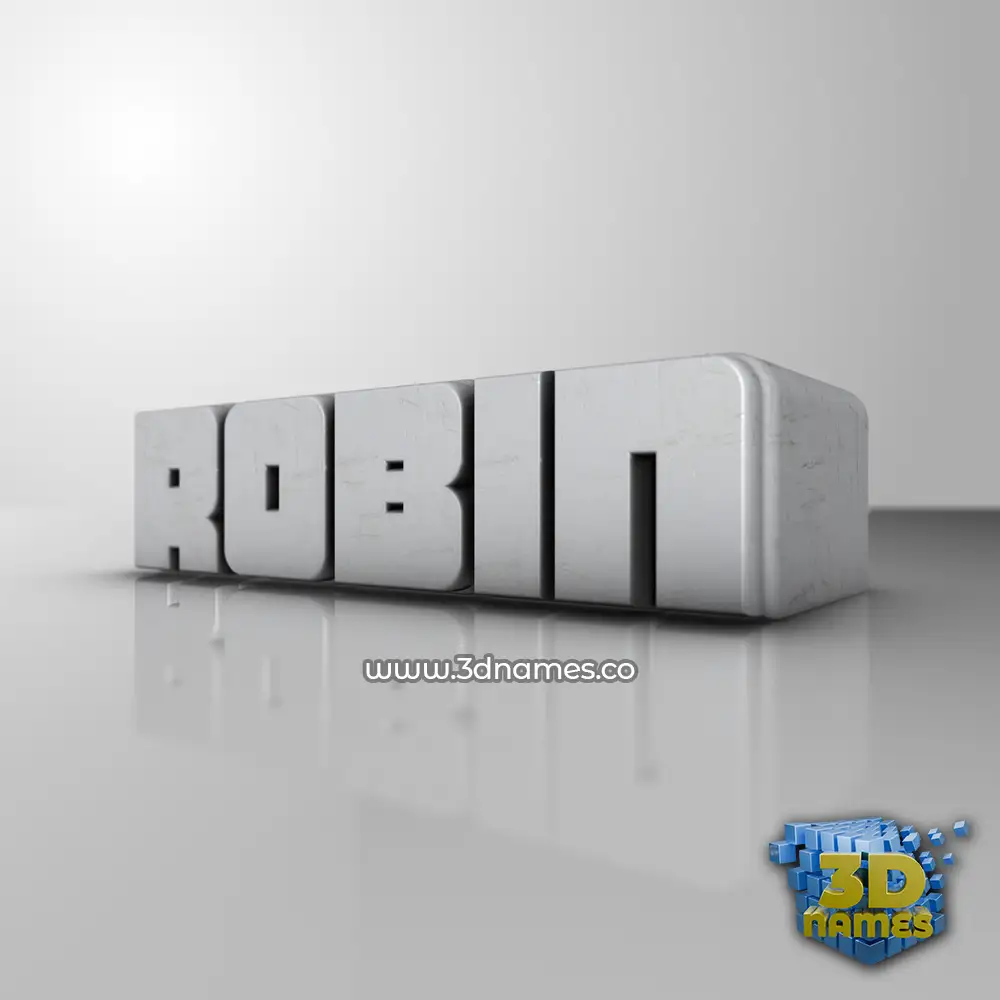 robin in White Metro style - 3D name wallpaper
