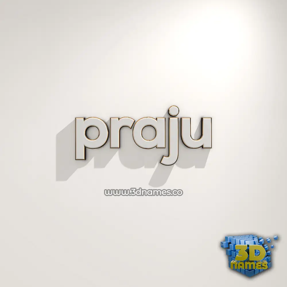 praju in White Logo Warm style - 3D name wallpaper