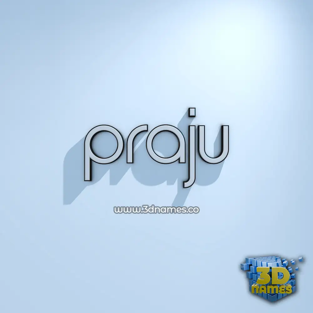 praju in White Logo Cold style - 3D name wallpaper