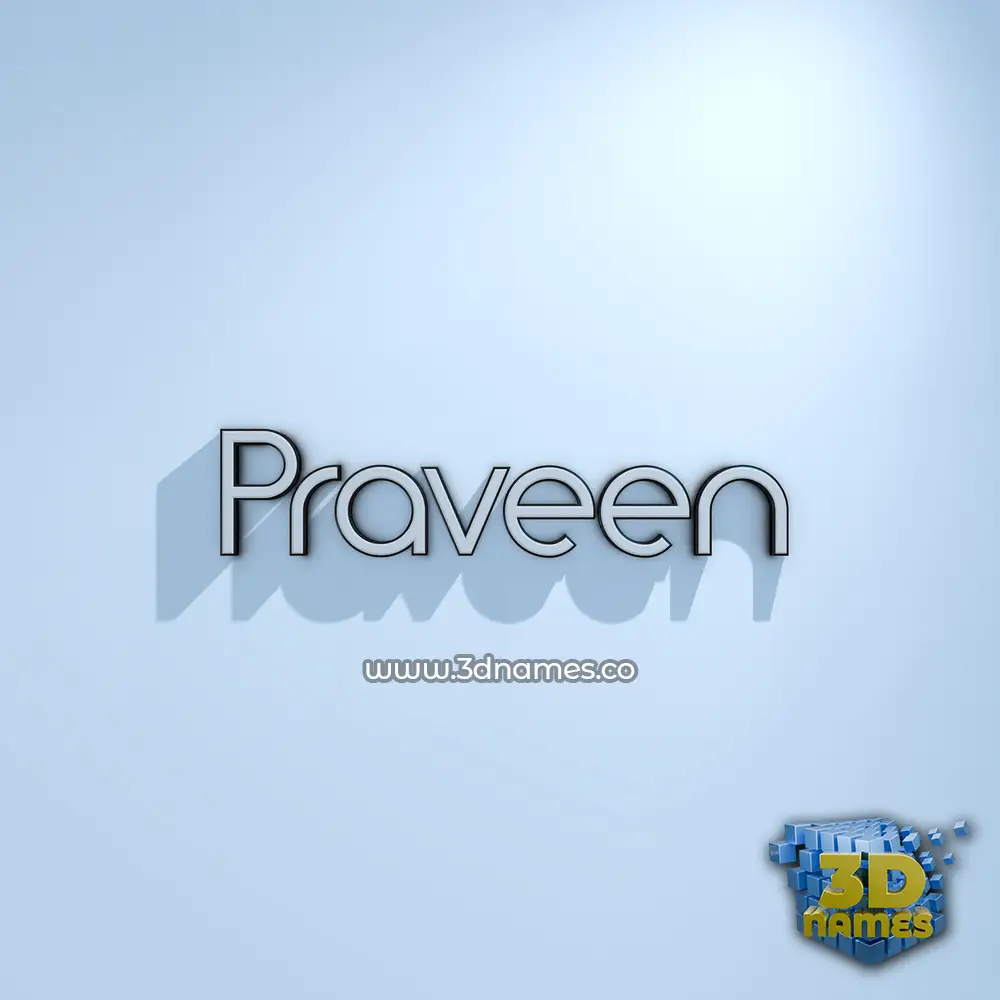 praveen in White Logo Cold style - 3D name wallpaper