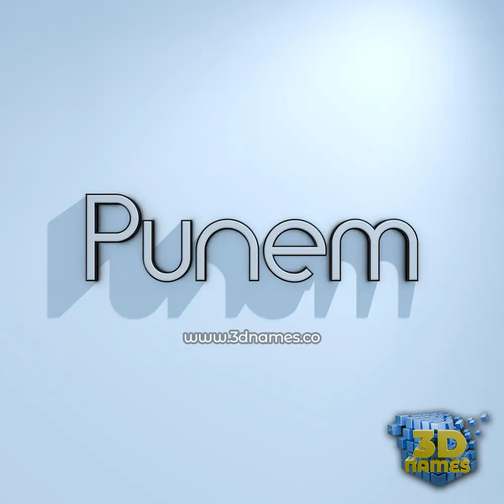 punem in White Logo Cold style - 3D name wallpaper