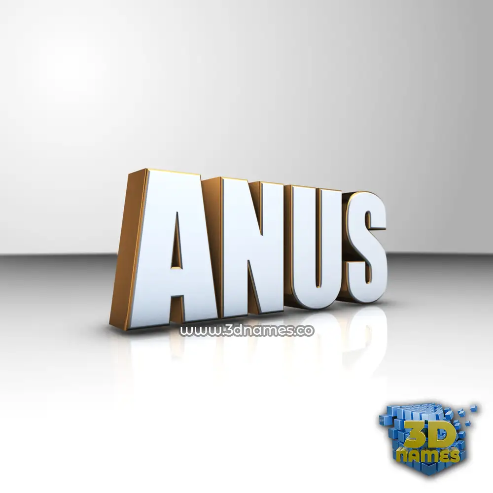 anus in White'n'Gold style - 3D name wallpaper