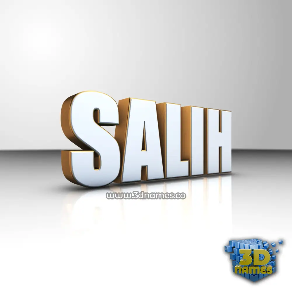 salih in White'n'Gold style - 3D name wallpaper