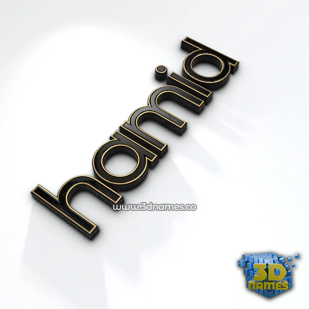 hamid in Black'n'White style - 3D name wallpaper