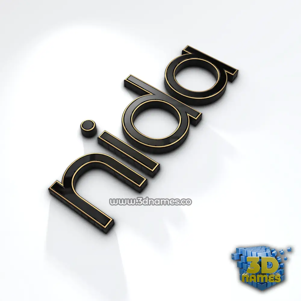 nida in Black'n'White style - 3D name wallpaper